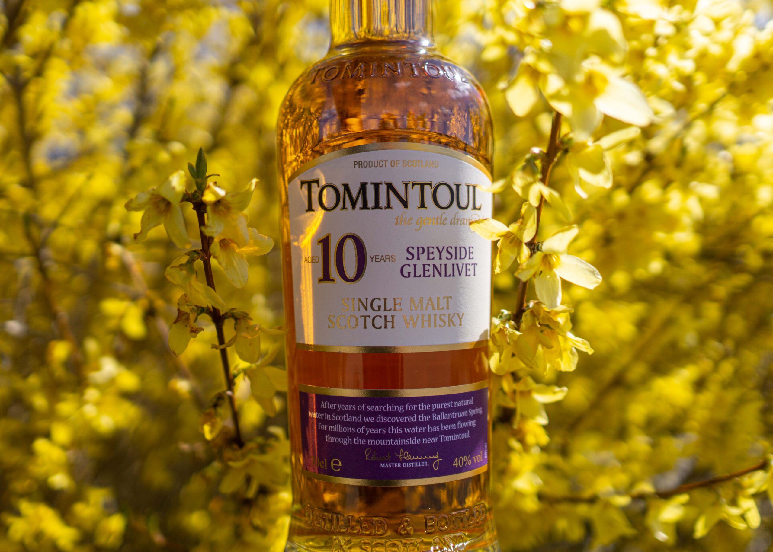 Tomintoul 10